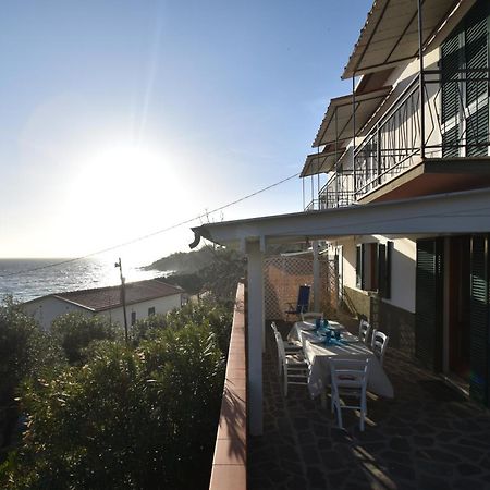 Appartamenti Cavoli - Vista Mare Con Terrazze, Clima E Posti Auto Spiaggia di Cavoli Zewnętrze zdjęcie